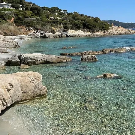 Gigaro Sylvabelle Sea Zen